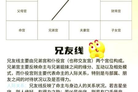 紫微斗数之夫妻宫与诸星,紫微星在夫妻宫是什么意思？