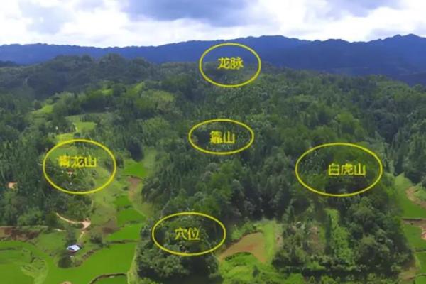 风水学中迁坟对子女有什么忌讳