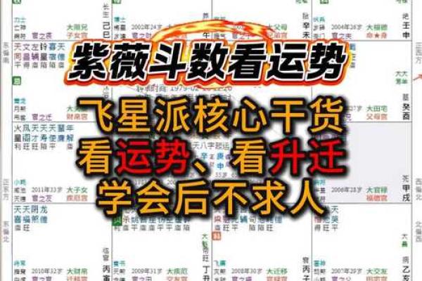 紫薇斗数女命紫薇