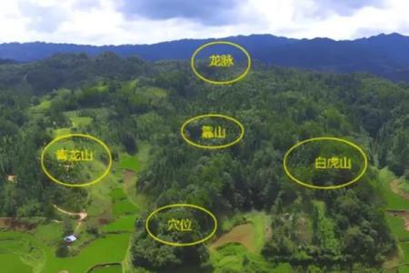 风水学中迁坟对子女有什么忌讳