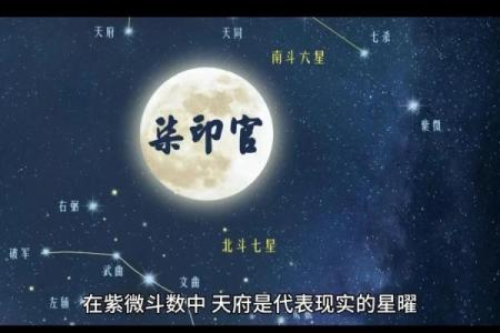 紫薇斗数中的星