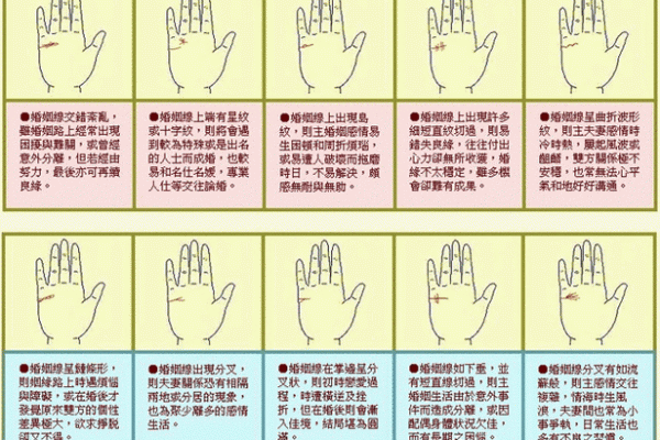 男人手上有9个斗的命运 手相算命