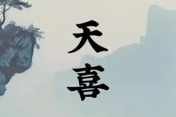 紫薇斗数巨门天喜在子女宫