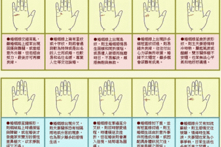 男人手上有9个斗的命运 手相算命