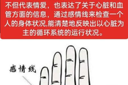 看手相算命图解女性右手 婚姻线怎样才算好
