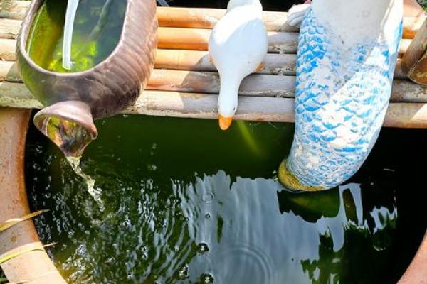仓房养鱼风水好吗