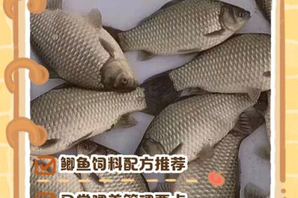 仓房养鱼风水好吗